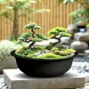Mini laghetto da giardino rotondo nero - 52 cm - Anteprima dell’immagine prodotto 5