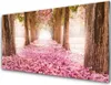 Acrylglasbilder 100x50 Wandbild Druck Fußpfad Baumstämme Produktbild-Vorschau 1
