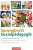 Sprungbrett Sozialpädagogik. Zu allen Handlungsfeldern - Produktbild-Vorschau 2