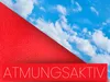 Sensalux Tischdeckenrollen-Set, 2 Stück, 1m x 25m Rot Produktbild-Vorschau 5