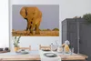 MuchoWow® Poster Afrikanischer Elefant im Sand 180x120 cm - Produktbild-Vorschau 4