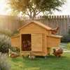 Mucola Hühnerstall inkl. 2 Nestboxen und Rampe Rollbar Produktbild-Vorschau 8