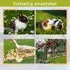 GIHAUVIA Welpenauslauf 80cm hoch 8 Teilig inkl. Erdankern Produktbild-Vorschau 8
