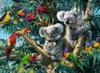Koalas im Baum Ravensburger 12000206 Produktbild-Vorschau 2