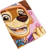Paw Patrol Badetuch Strandtuch Handtuch Kinder Mädchen Skye Produktbild-Vorschau 1