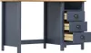 vidaXL Schreibtisch Hill mit 3 Schubladen Grau 120x50x74cm Produktbild-Vorschau 2