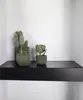 Three potted plants on a black shelf against a white wall. Anteprima dell’immagine prodotto