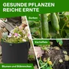 TTL GARDEN Pflanzsack 60L – 5er Set Filz & Vliesstoff für Produktbild-Vorschau 7