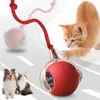 Interaktiver Spielball für Katzen und kleine Hunde, Produktbild-Vorschau 1