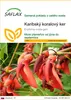 SAFLAX - Karibský koralový ker - Erythrina crista-galli - 6 Náhľad obrázku produktu 1