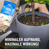 Substral Langzeit Depotdünger Zitrus & mediterrane Pflanzen Produktbild-Vorschau 3