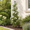 Support pour plantes KADAX 54–158 cm, tige d'escalade Voir les images du produit 2