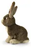 Peluche Lièvre 30 Cm Ecologique Voir les images du produit 5