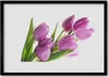 Bild 70x50 MDF-Rahmen Wandkunst Tulpen Blumen Pflanze Produktbild-Vorschau 1