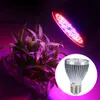 A plant under a grow light, with a close-up of the grow light bulb. Náhľad obrázku produktu