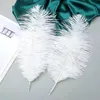 Piume Piume di struzzo, circa 20-30 cm, 20 pezzi, bianco Anteprima dell’immagine prodotto 5