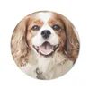MuchoWow® Mauspad Mousepad Cavalier King Charles Spaniel im Produktbild-Vorschau 1