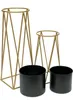 Two gold metal plant stands of different heights with two black pots. Voir les images du produit