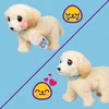 Moose Little Live Pets Ouchies Cooper The Retriever Produktbild-Vorschau 16