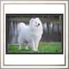 50x70 Fotorahmen Puzzle Poster schwarz großer MDF-Rahmen Produktbild-Vorschau 5
