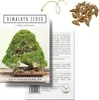 Einzigartige Bonsai Samen mit hoher Keimrate - Pflanzen Produktbild-Vorschau 1