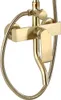 A close-up studio shot of a gold-colored shower faucet with a flexible hose. Anteprima dell’immagine prodotto