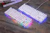 Two white mechanical keyboards with RGB lighting are displayed on a wooden surface. Produktbild-Vorschau