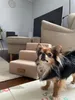 A small dog stands in front of a set of pet stairs in a living room. Náhľad obrázku produktu