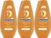 SCHAUMA Spülung Superfruit & Glanz, 3x 250ml Produktbild-Vorschau 1