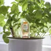 Seramis Pflanz-Granulat für Zimmerpflanzen 15 l + 2 Produktbild-Vorschau 2