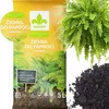 Erde für Farne - 5l - Locker - Nährstoffreich - Optimal für Produktbild-Vorschau 7