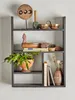 A shelf displaying various decorative items, including a plant in an orange pot. Produktbild-Vorschau