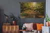 MuchoWow® Wandteppich Wandbehang Der Schwarzwald in Produktbild-Vorschau 5
