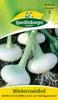 Quedlinburger Saatgut - Winter-Zwiebeln Blanca de la - Produktbild-Vorschau 5