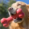 Kong Goodie Bone, giocattolo per cani Anteprima dell’immagine prodotto 3