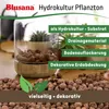 Blusana Blähton 5 Liter mittlere Körnung 4-8mm Produktbild-Vorschau 5