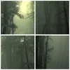 Gerahmtes Poster - Schwarzer Rahmen - Wald Nebel Baum - Produktbild-Vorschau 9