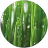 Wallario rundes Outdoor-Poster für Garten oder Balkon, Produktbild-Vorschau 1