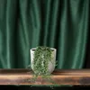 Hedera Helix Pitsburg con vaso sospeso XXL - 70-80cm - Anteprima dell’immagine prodotto 3