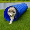 lionto Hundespieltunnel, stabiler Agilitytunnel für Hunde, Produktbild-Vorschau 2