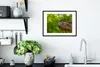 MuchoWow® MuchoWow® Gerahmtes Poster Eule - Baby - Baum Produktbild-Vorschau 4