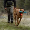 Ruffwear La luce di sicurezza Beacon Clear Lake Anteprima dell’immagine prodotto 10