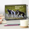 Whippets in Aktion (Tischkalender 2027 DIN A5 quer), Produktbild-Vorschau 3