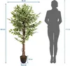 hjh OFFICE Umělá rostlina FICUS Umělá rostlina břízy Výška Náhled obrázku produktu 8