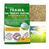 EcoDeco Graines de gazon gazon à semer 5kg, gazon terrain Voir les images du produit 13
