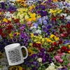 Nicht vergessen nur nervig Glitzer-Kaffeebecher Produktbild-Vorschau 3