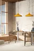 Pendelleuchte Champion, E27, Ø35 Kinderzimmer Lampe Produktbild-Vorschau 5