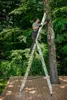 A person is using a ladder to trim a tree in a garden setting. Produktbild-Vorschau