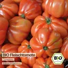 Samenliebe  Tomate Samen | Canestrino - rot & aromatisch & Produktbild-Vorschau 4