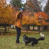 Ruffwear Gnawt-a-Stick Spielzeug Stock 4 x 30 cm, Produktbild-Vorschau 10